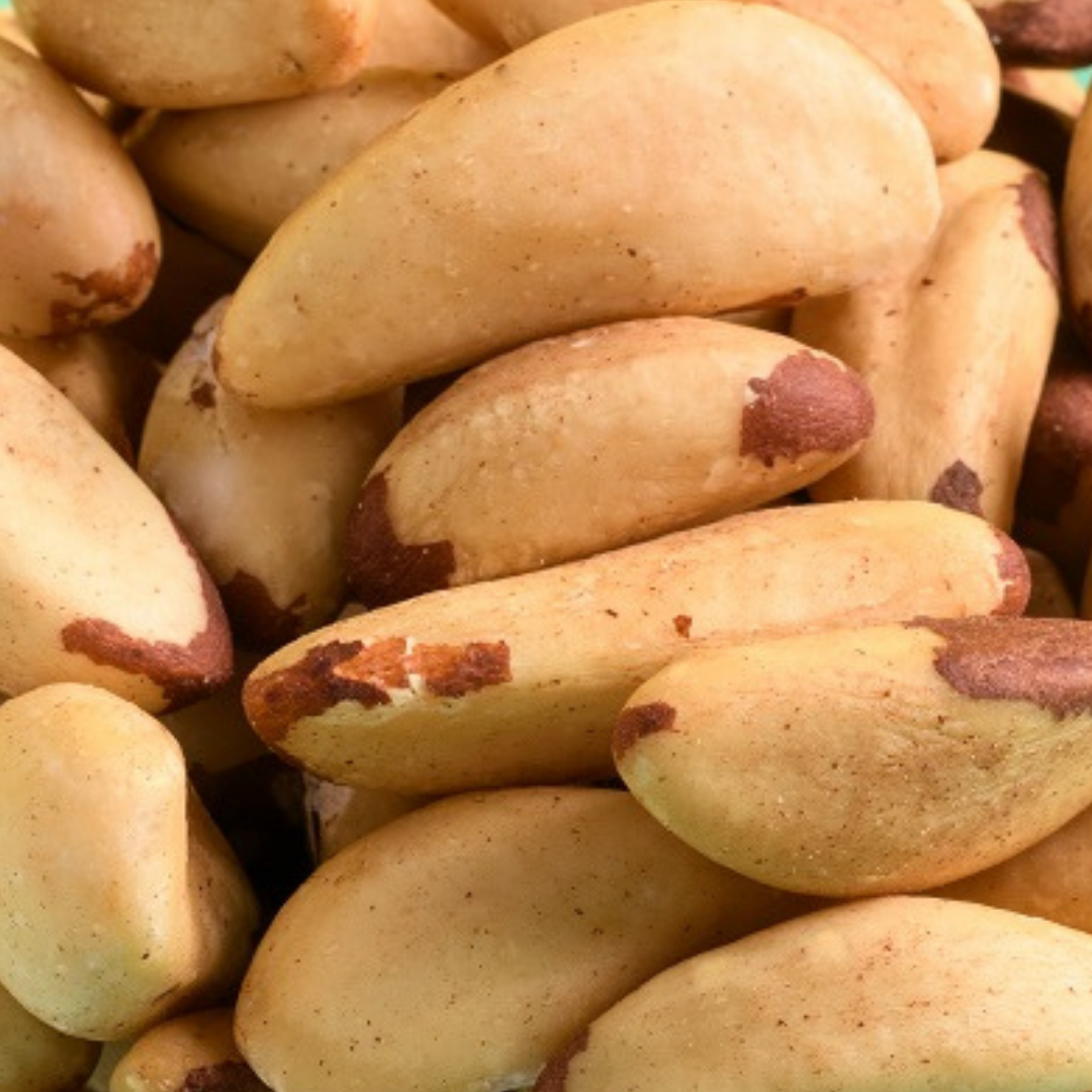 Lightly Roasted Organic Brazil Nuts (Unsalted)